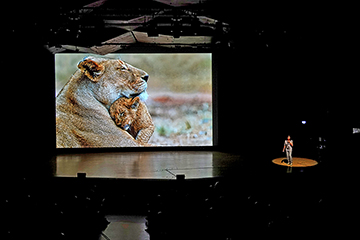 Multivision Beamer-Show von Gabriela Staebler - Wildlife Photography
