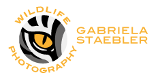 Logo | Gabriela Staebler - Wildlife Photography