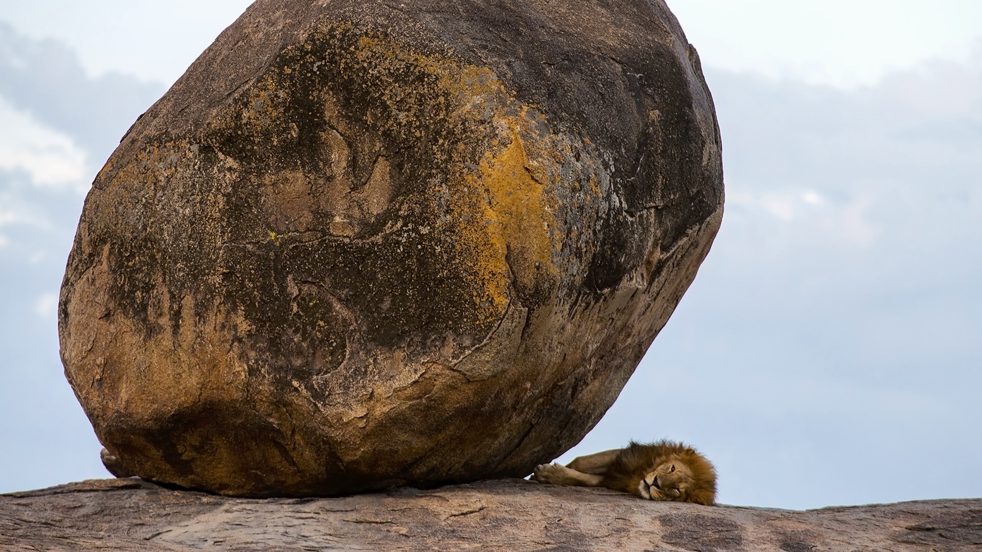 Gabriela Staebler | WILDLIFE PHOTOGRAPHY