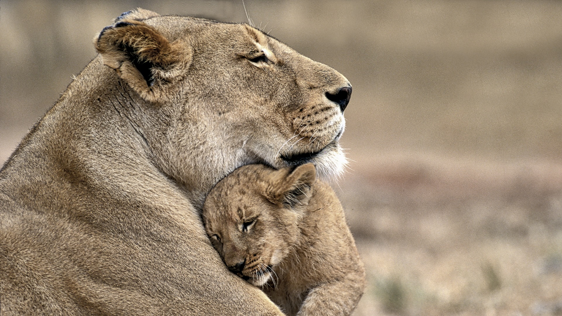 Gabriela Staebler | WILDLIFE PHOTOGRAPHY