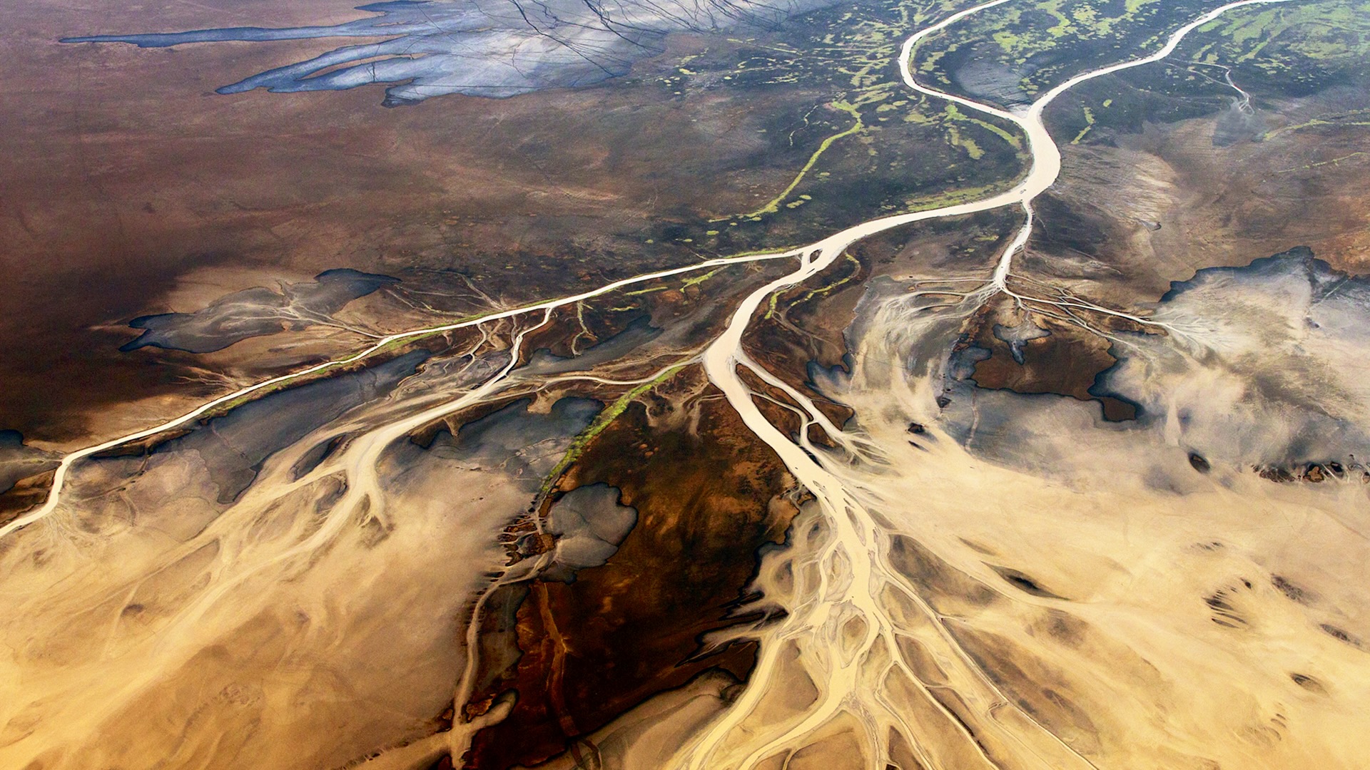 Gabriela Staebler | WILDLIFE PHOTOGRAPHY