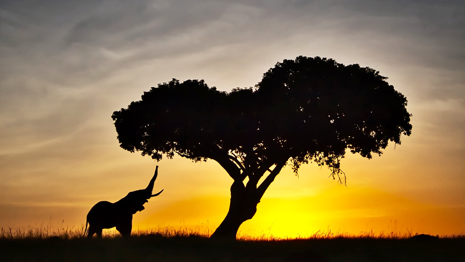 Gabriela Staebler | WILDLIFE PHOTOGRAPHY