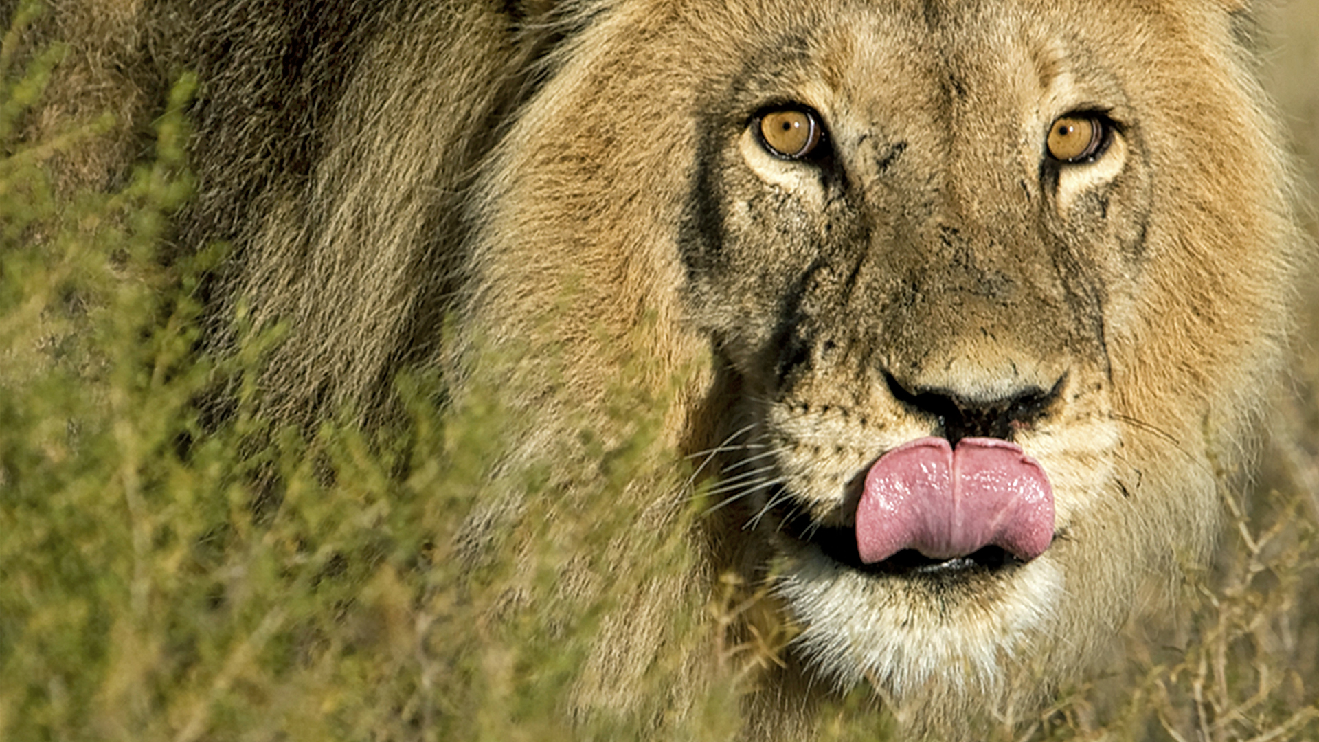 Gabriela Staebler | WILDLIFE PHOTOGRAPHY