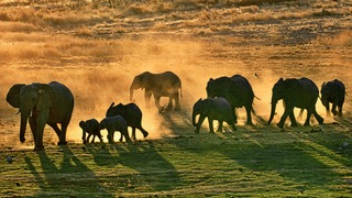 Gabriela Staebler | WILDLIFE PHOTOGRAPHY