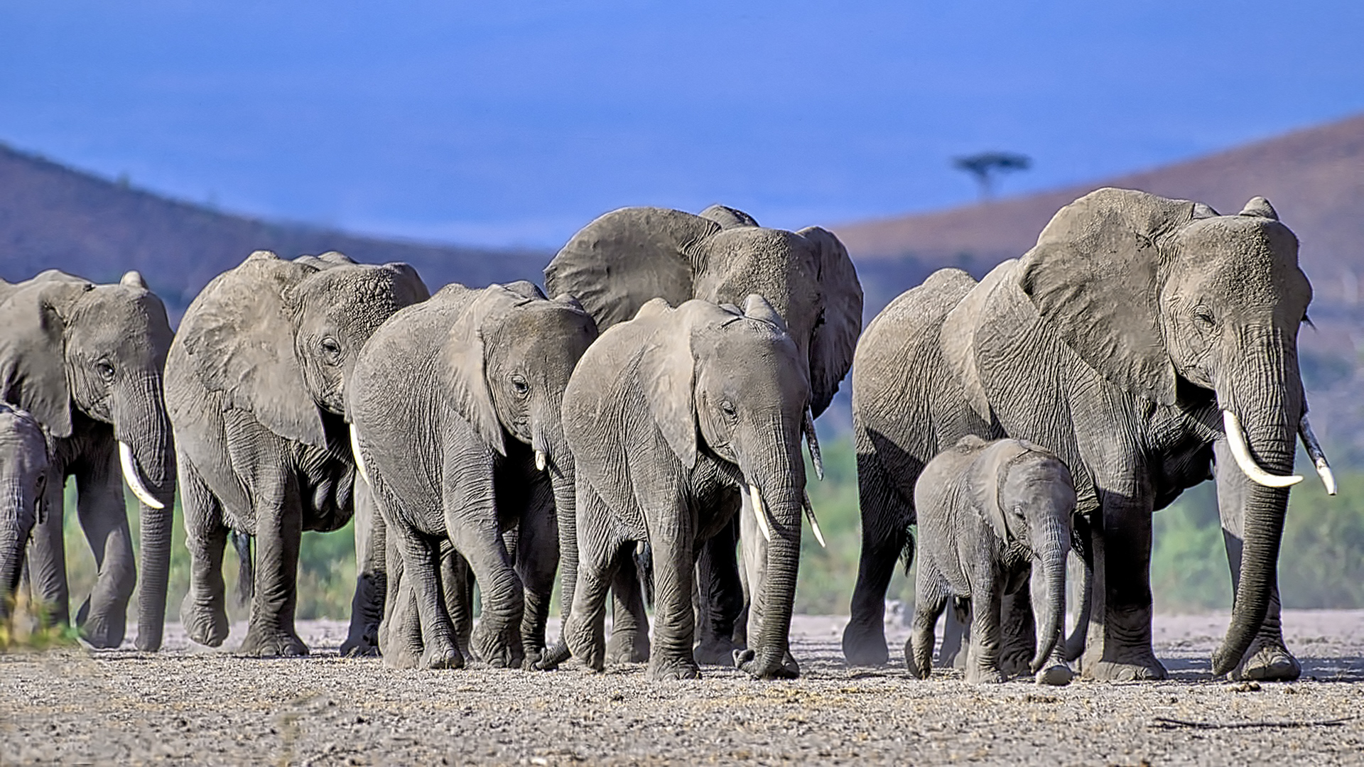 Gabriela Staebler | WILDLIFE PHOTOGRAPHY