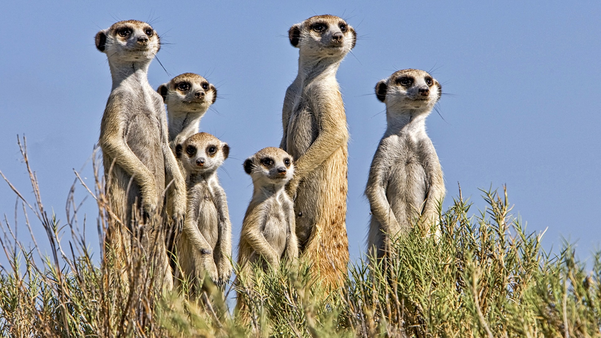 Gabriela Staebler | WILDLIFE PHOTOGRAPHY