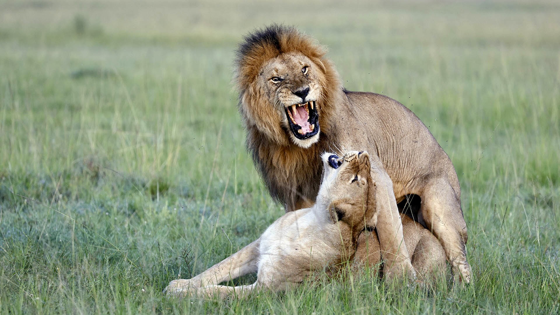 Gabriela Staebler | WILDLIFE PHOTOGRAPHY