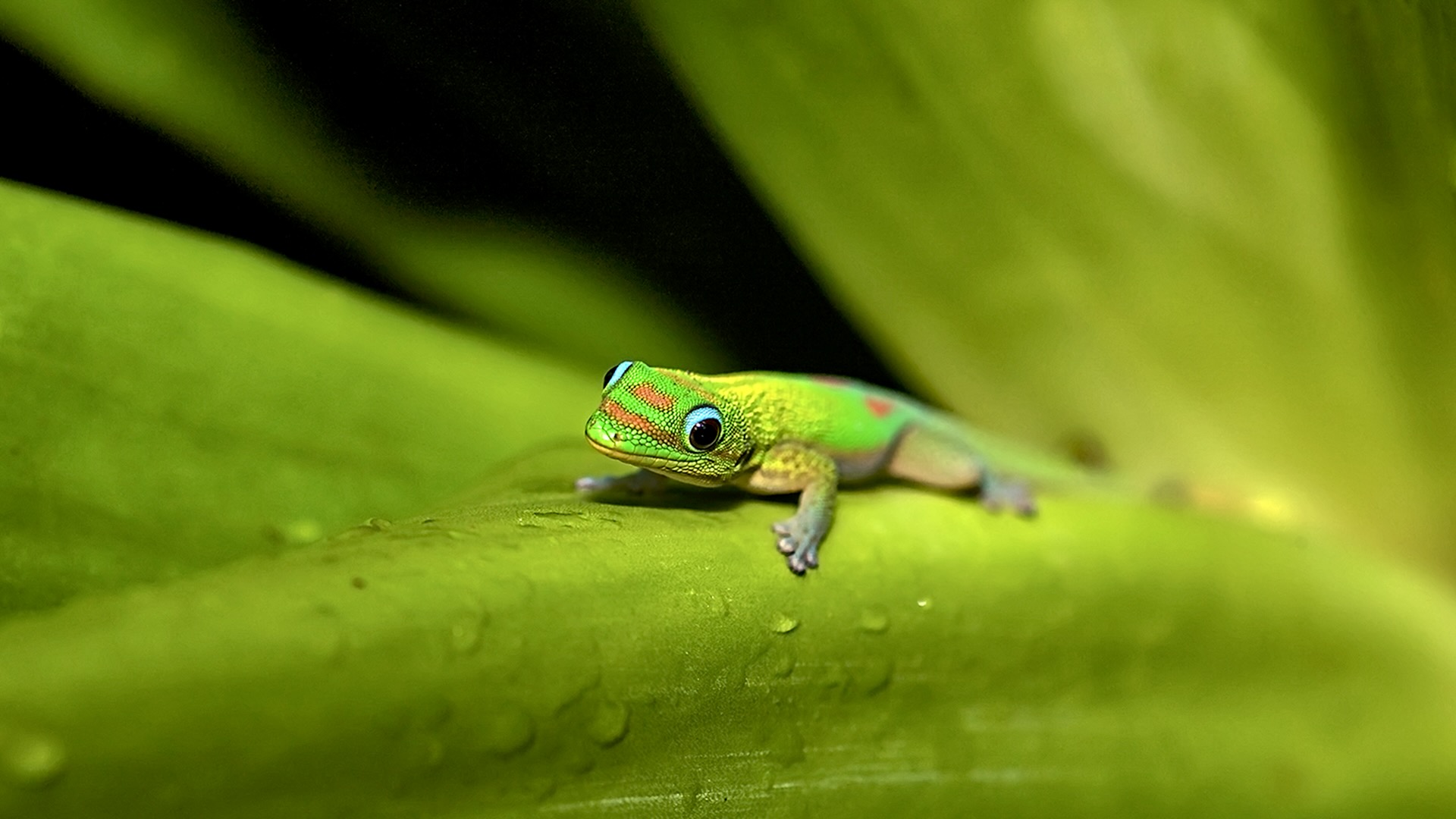 Gabriela Staebler | WILDLIFE PHOTOGRAPHY