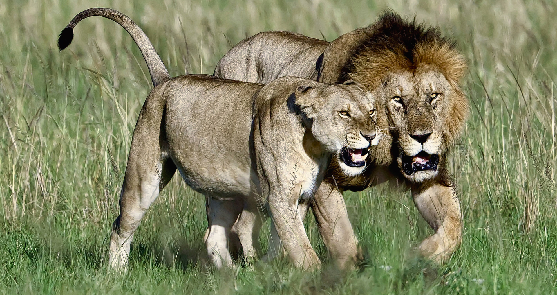 Gabriela Staebler | WILDLIFE PHOTOGRAPHY