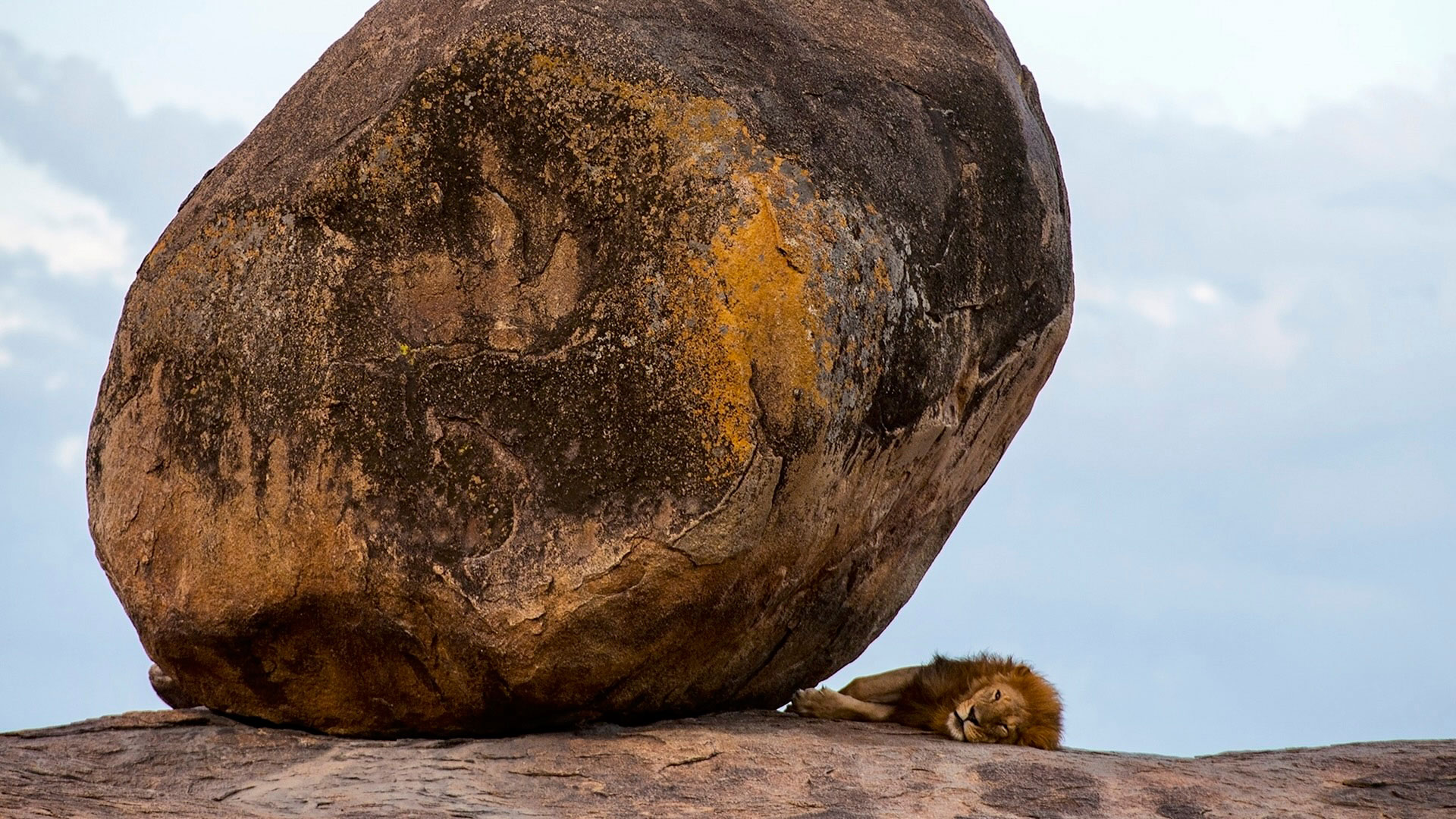 Gabriela Staebler | WILDLIFE PHOTOGRAPHY