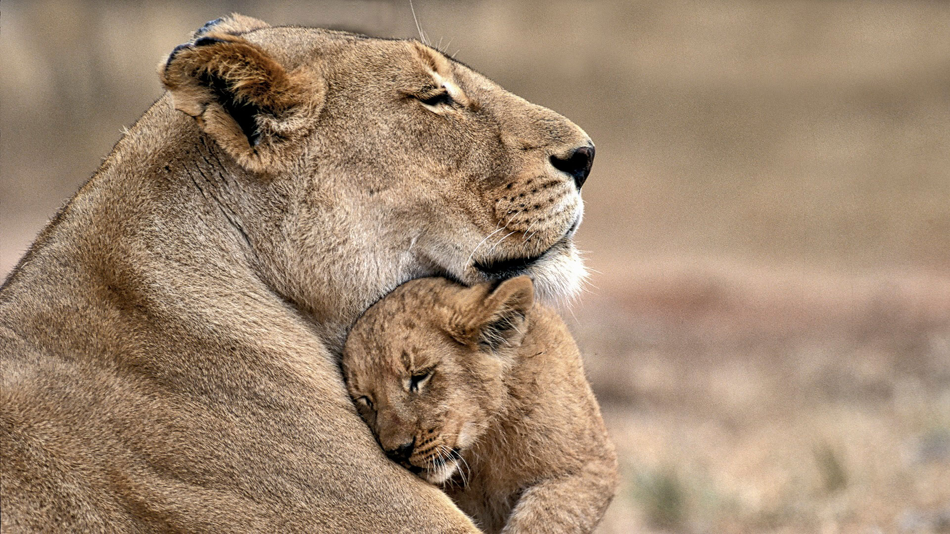 Gabriela Staebler | WILDLIFE PHOTOGRAPHY