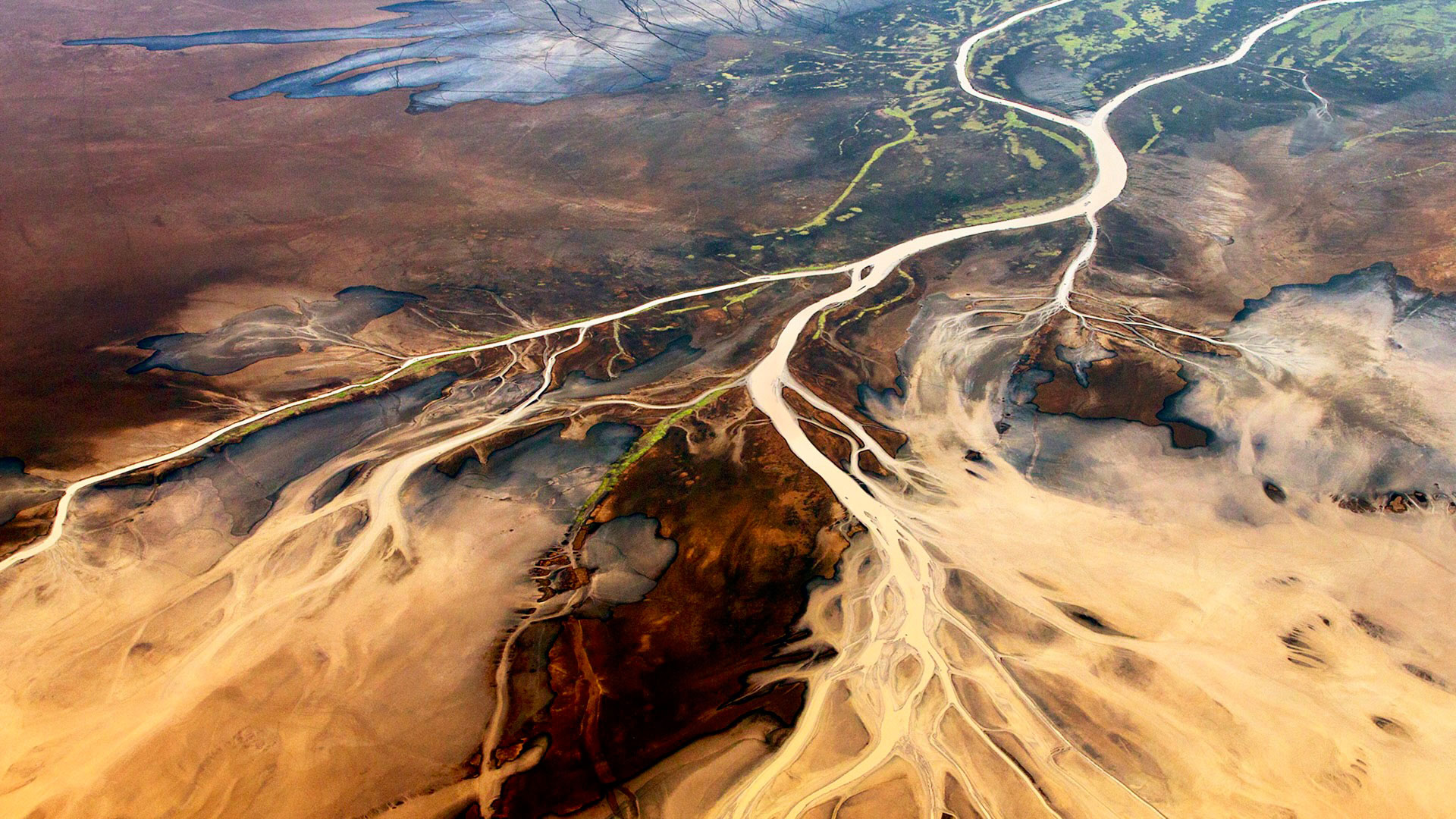 Gabriela Staebler | WILDLIFE PHOTOGRAPHY