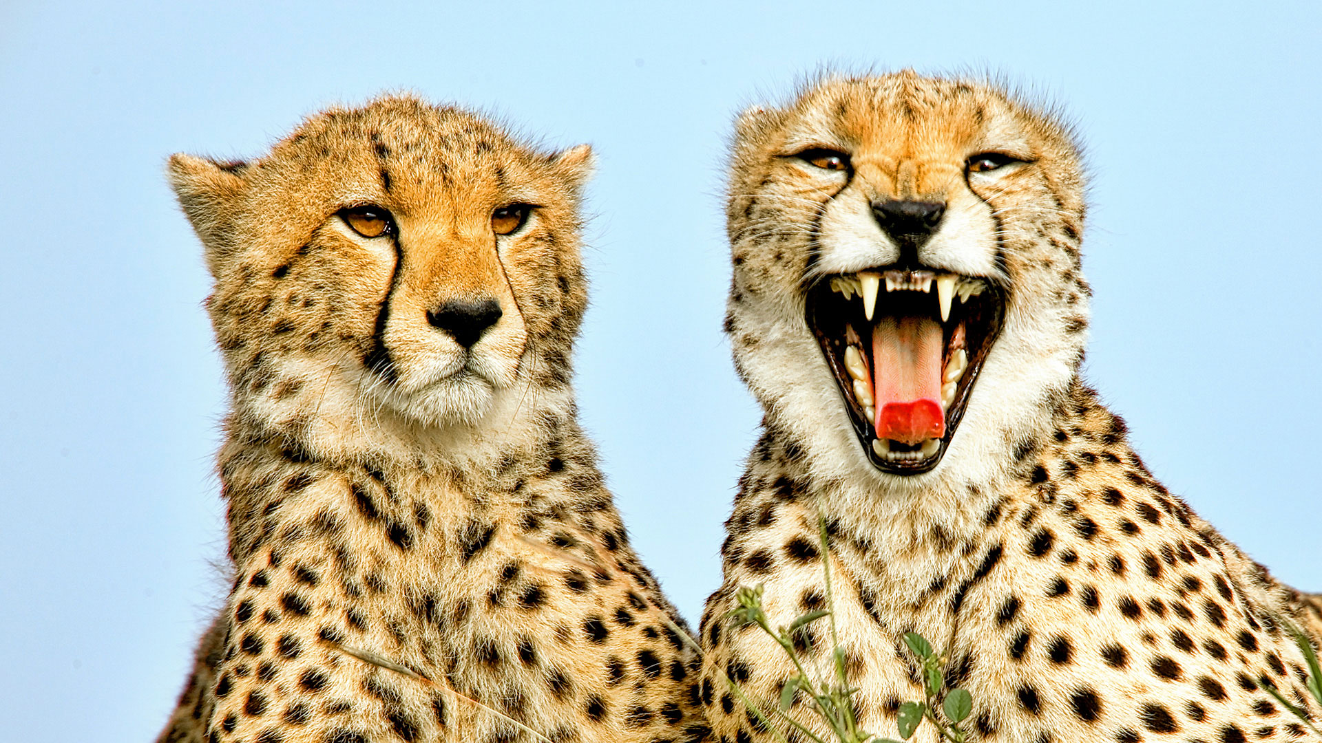 Gabriela Staebler | WILDLIFE PHOTOGRAPHY