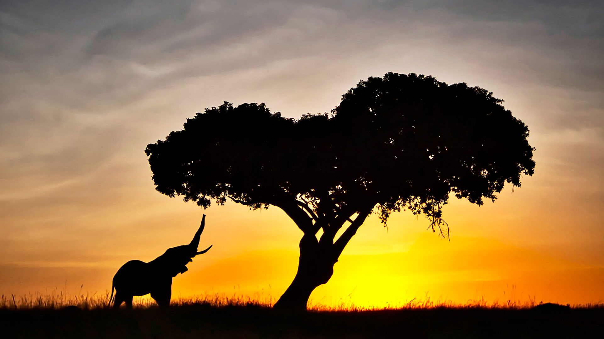 Gabriela Staebler | WILDLIFE PHOTOGRAPHY