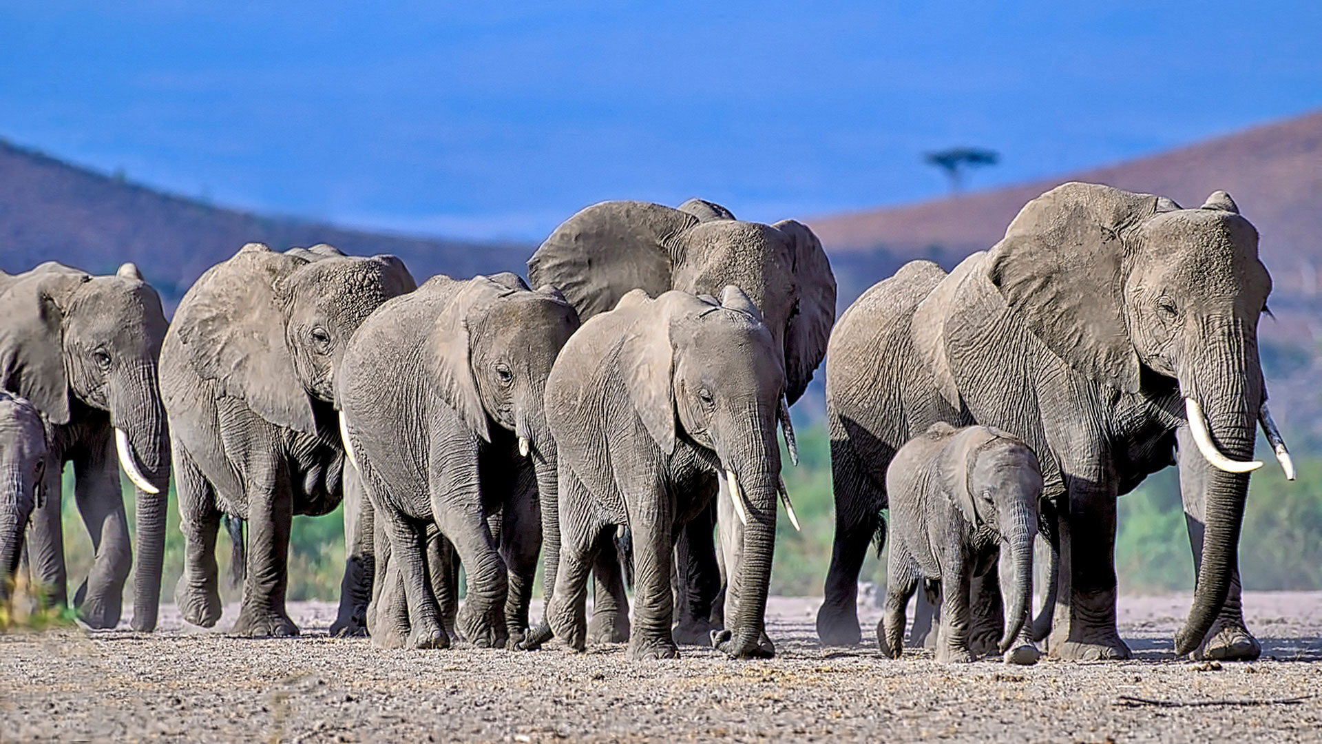 Gabriela Staebler | WILDLIFE PHOTOGRAPHY