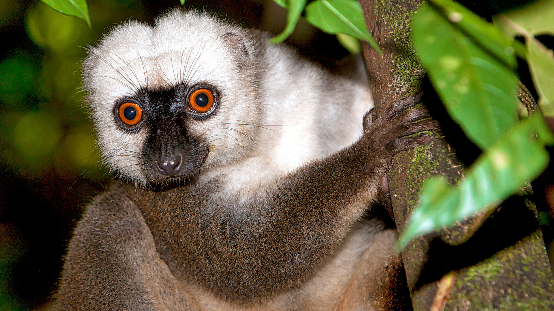 Gabriela Staebler | WILDLIFE PHOTOGRAPHY