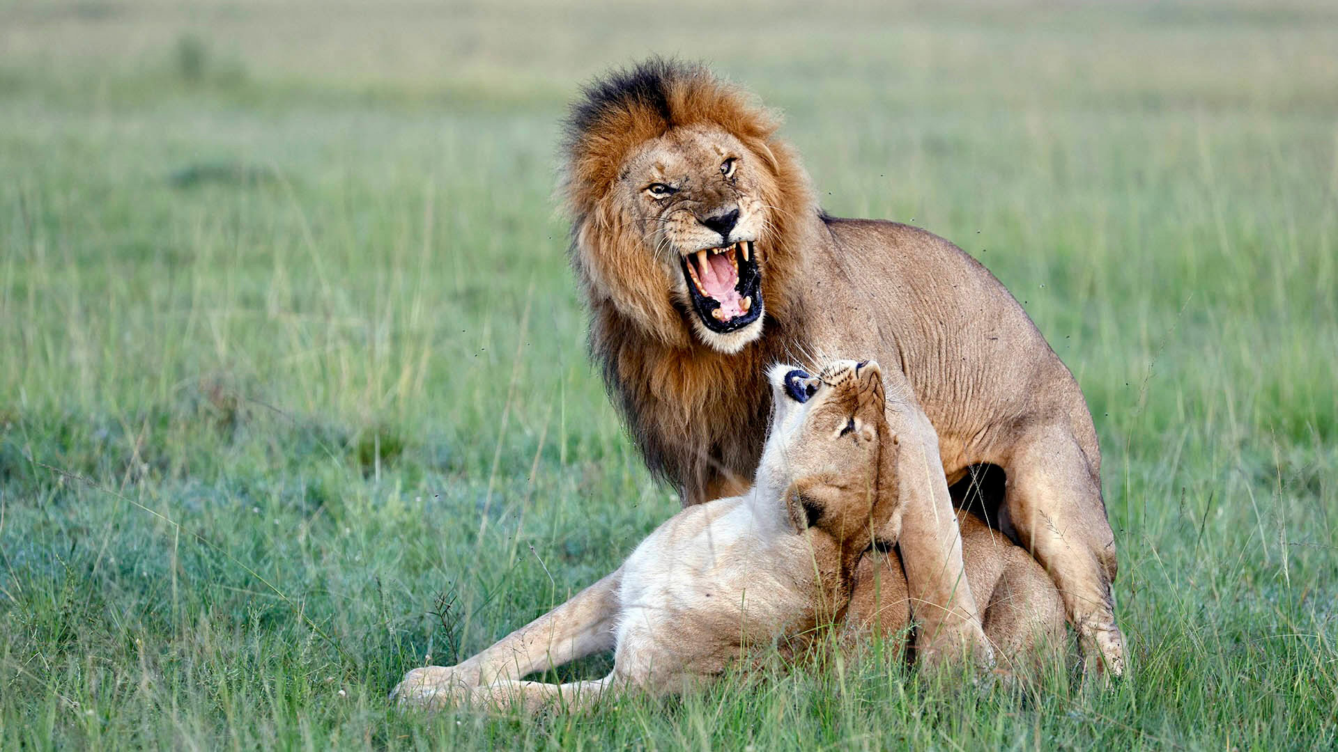 Gabriela Staebler | WILDLIFE PHOTOGRAPHY