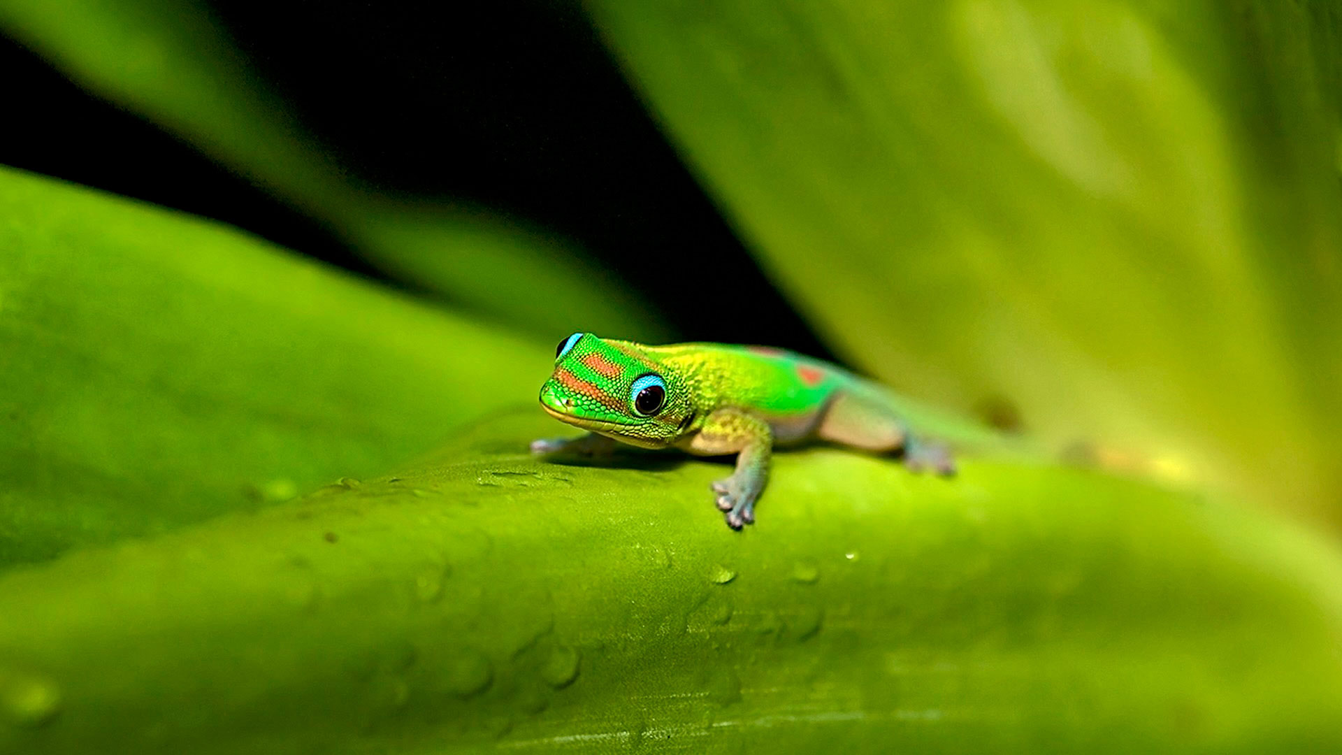 Gabriela Staebler | WILDLIFE PHOTOGRAPHY