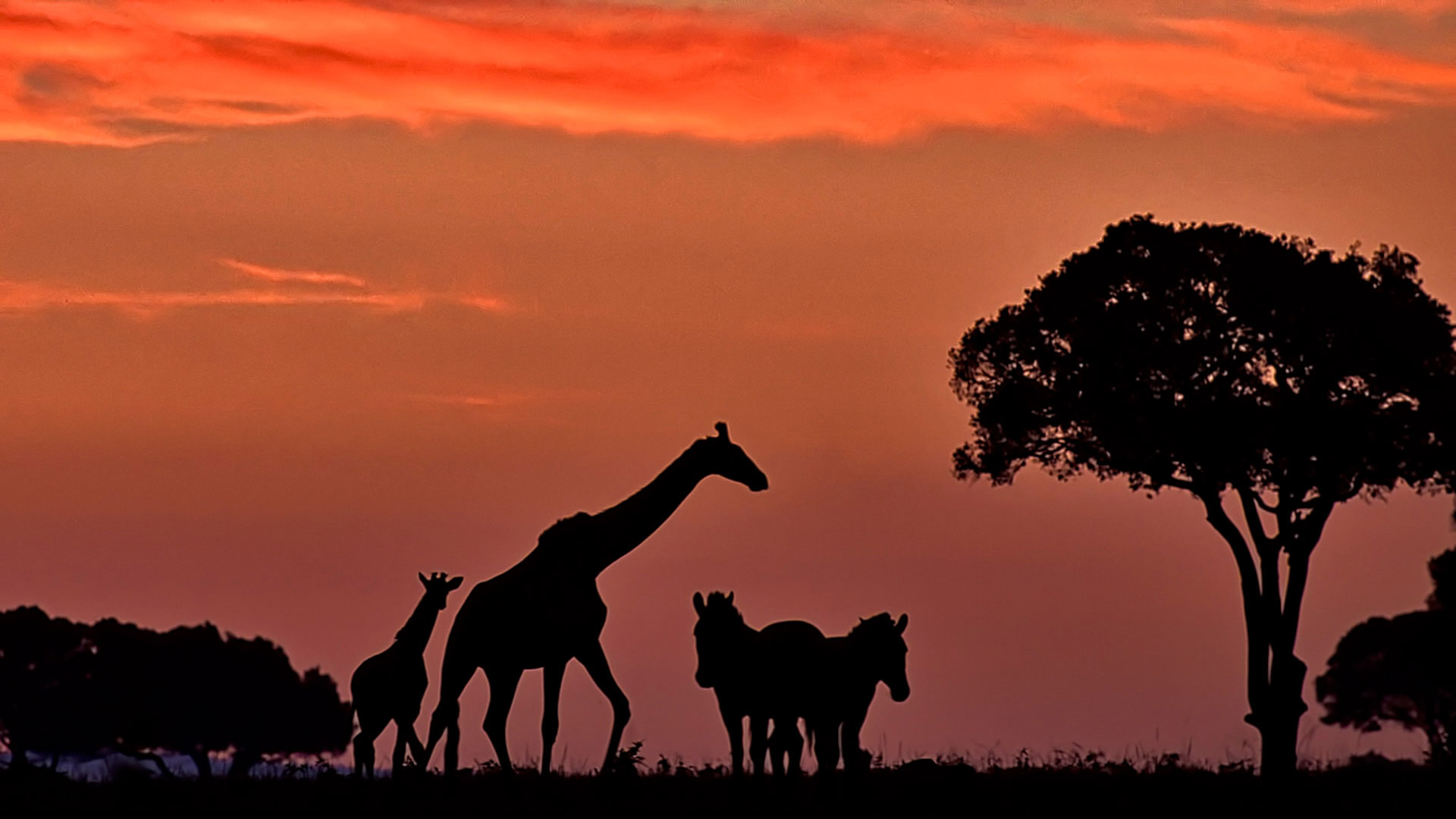 Gabriela Staebler | WILDLIFE PHOTOGRAPHY