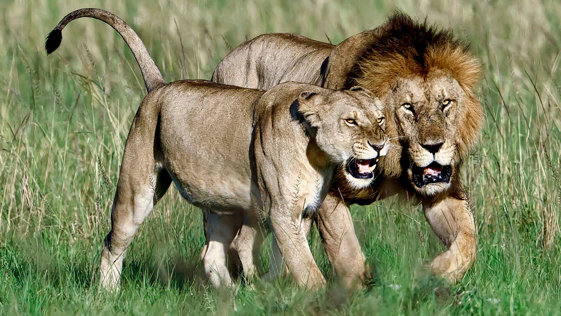 Gabriela Staebler | WILDLIFE PHOTOGRAPHY