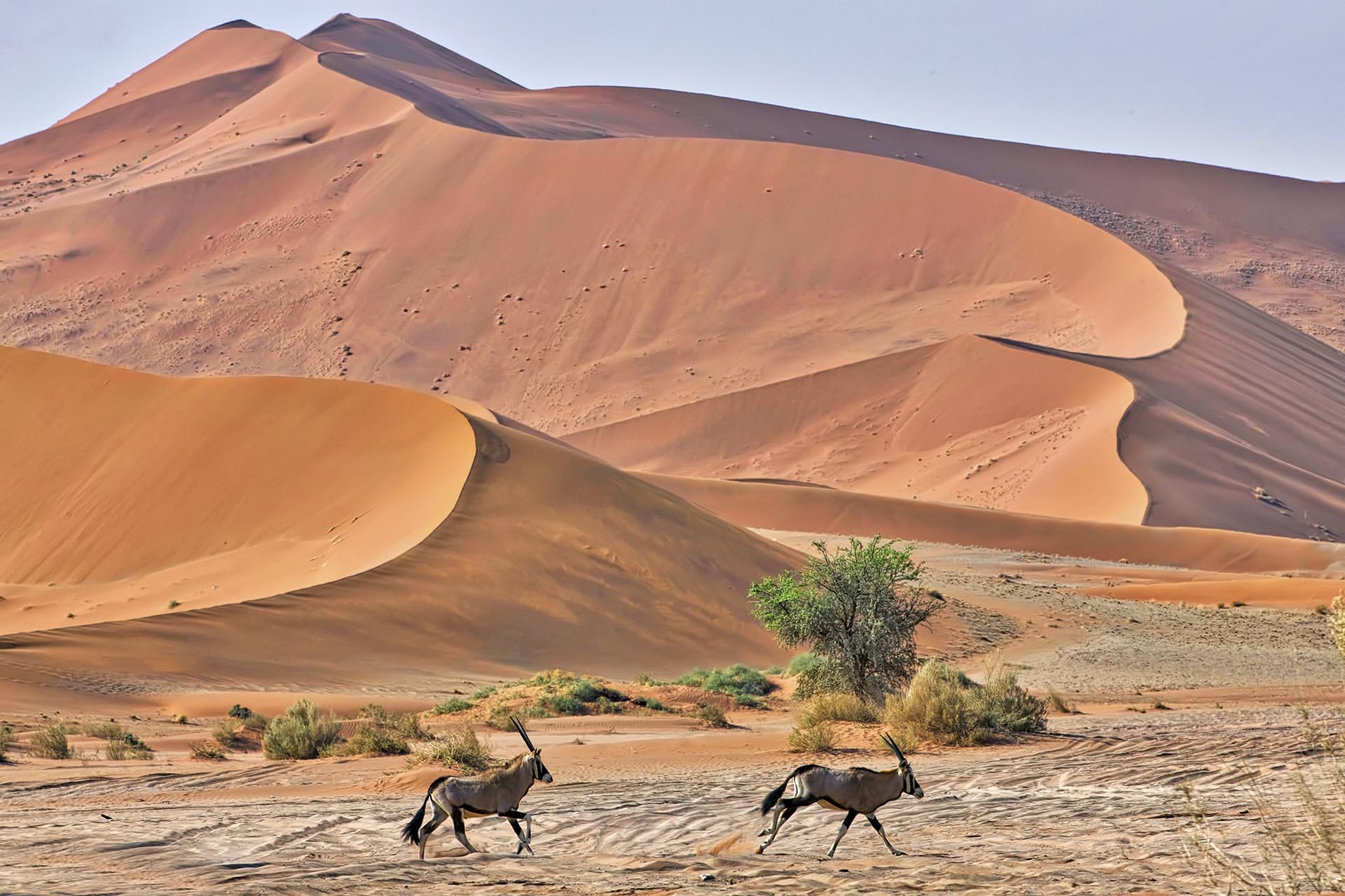 Gabriela Staebler | Namibia