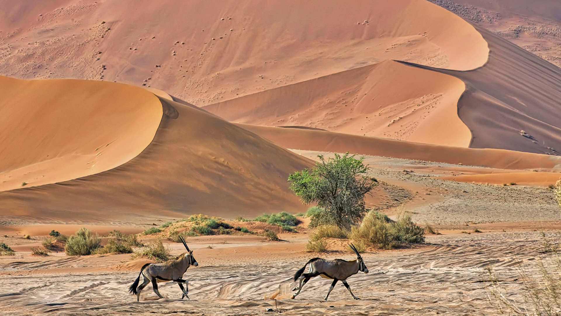 Gabriela Staebler | Namibia