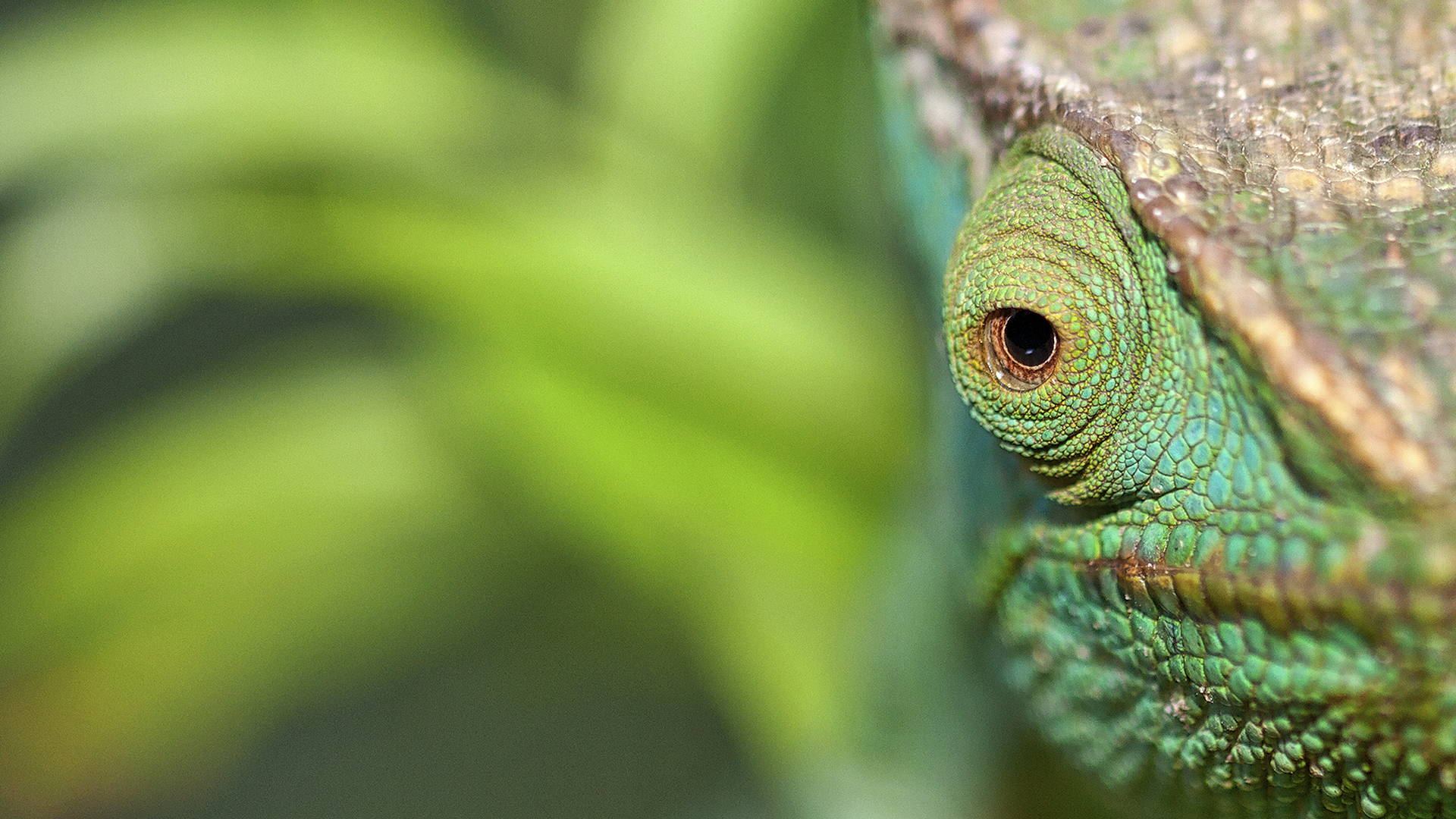 Gabriela Staebler | Madagascar