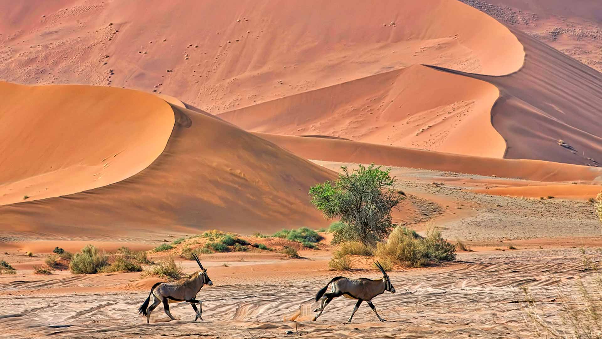 Gabriela Staebler | Namibia