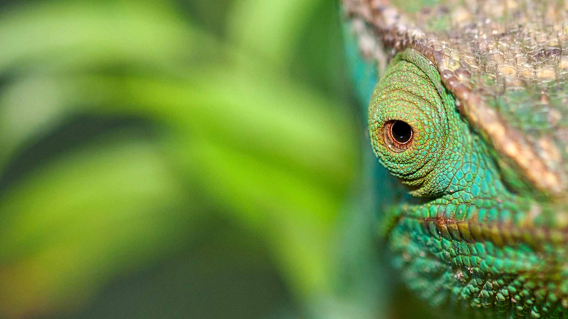 Gabriela Staebler | Madagascar